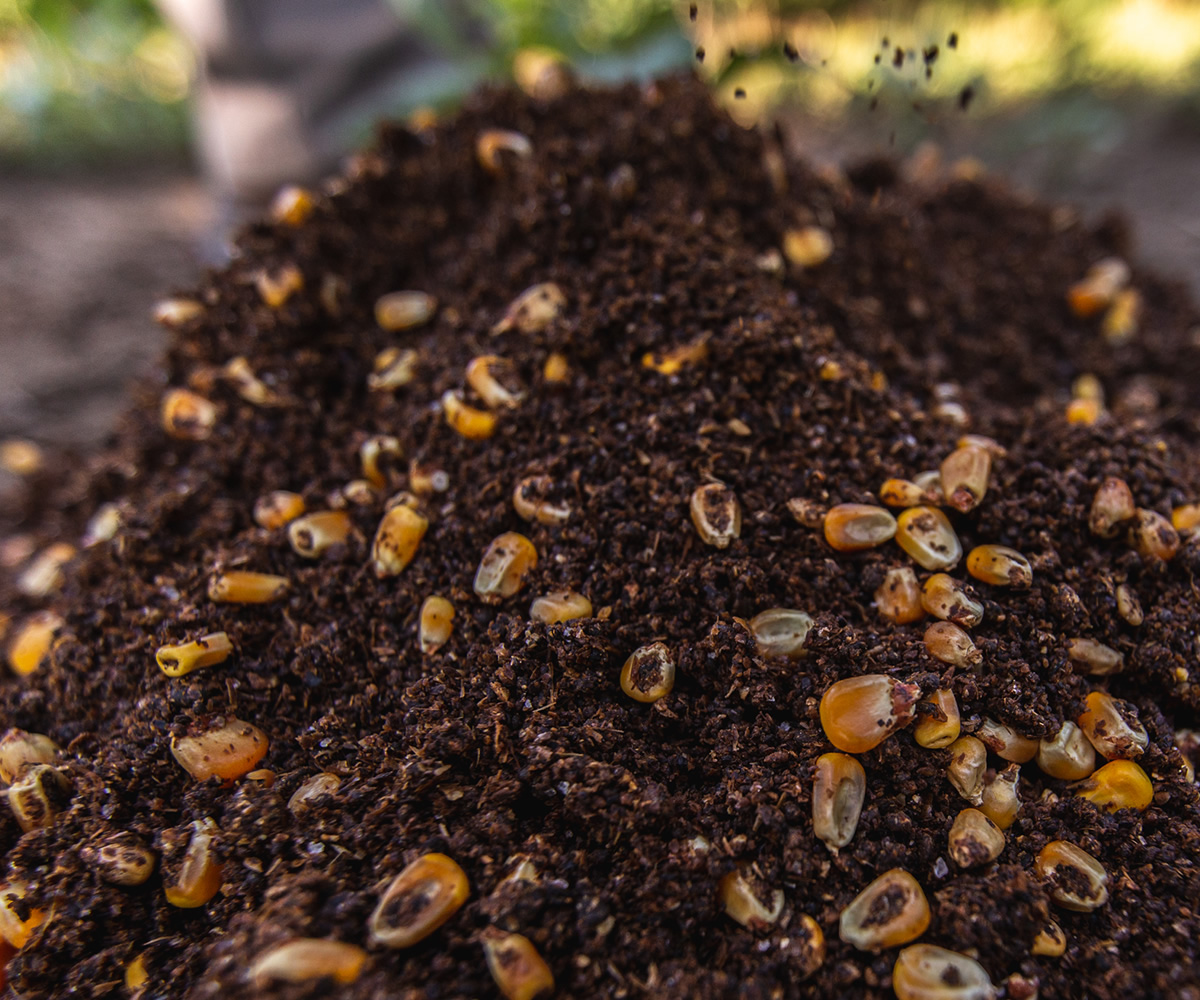 110 PROOF® Deer Attractant Deer Attractant Buck Bourbon