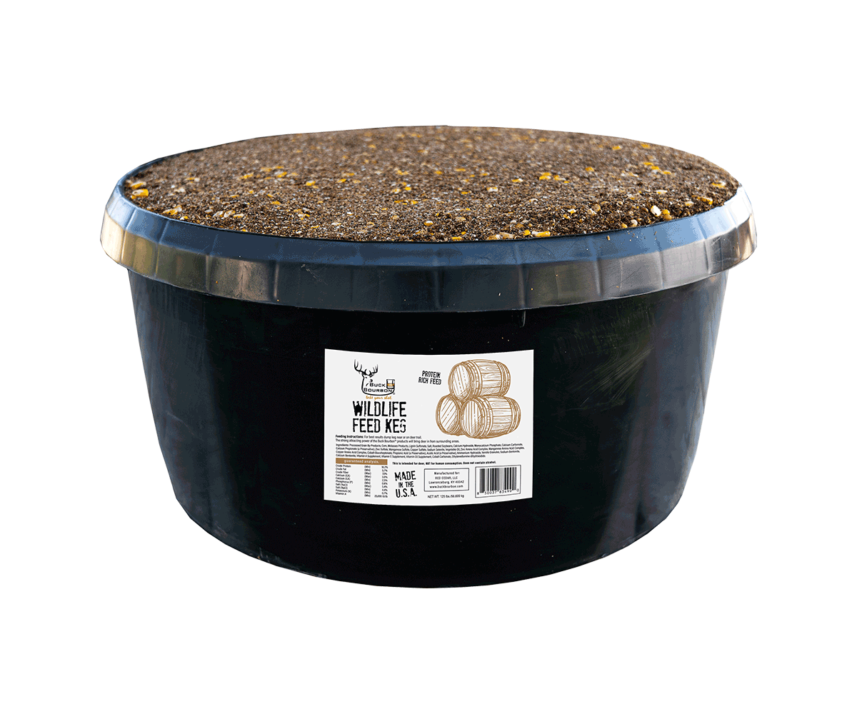 BB-KEG125-Image-Internet-001