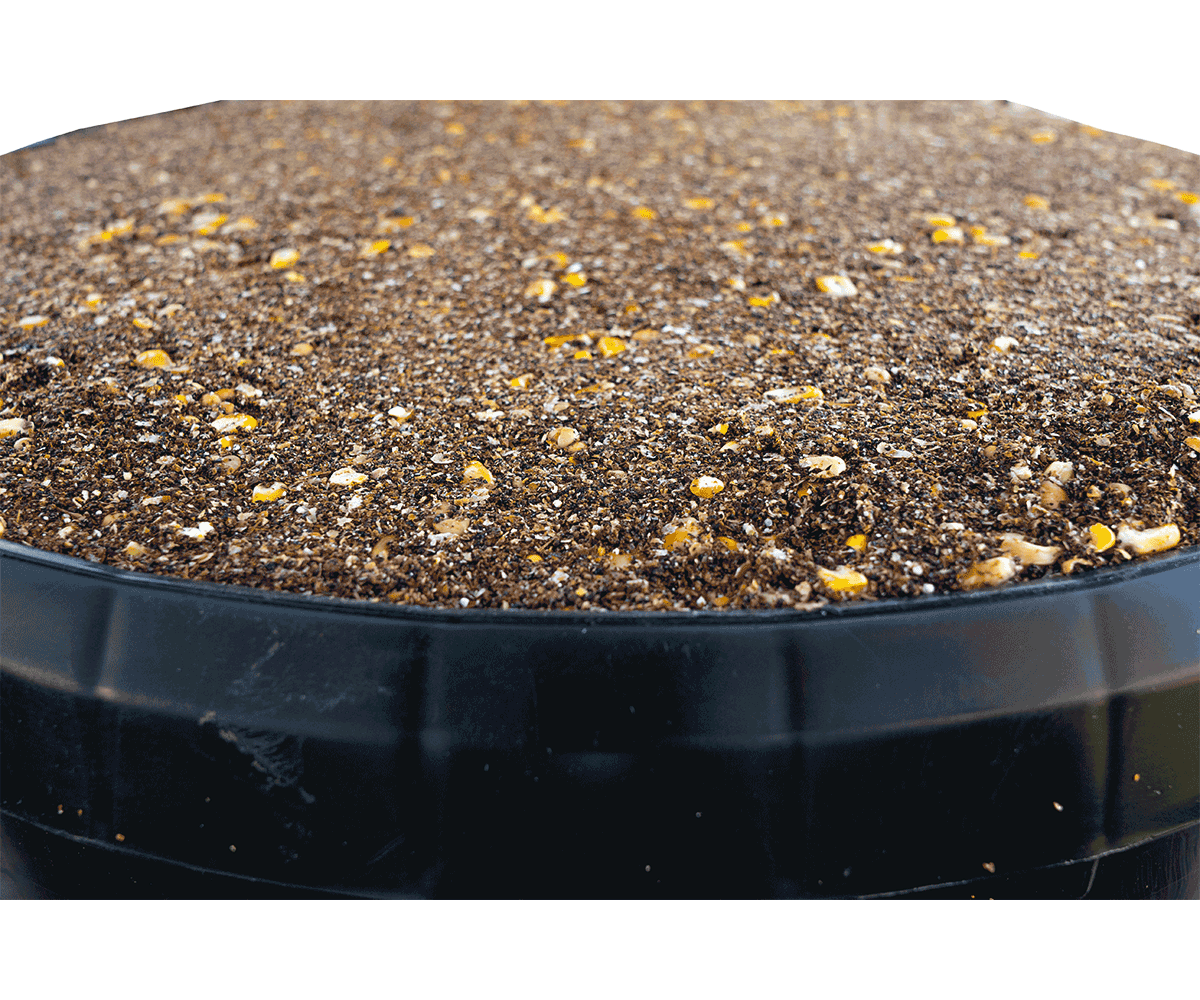 BB-KEG125-Image-Internet-002