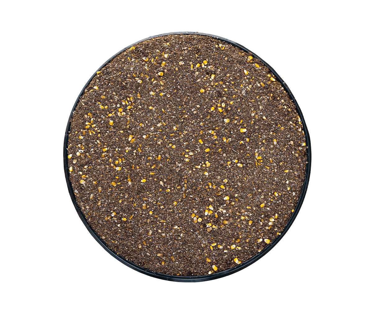 BB-KEG125-Image-Internet-003