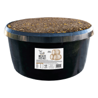BB-KEG125-Image-Internet-001
