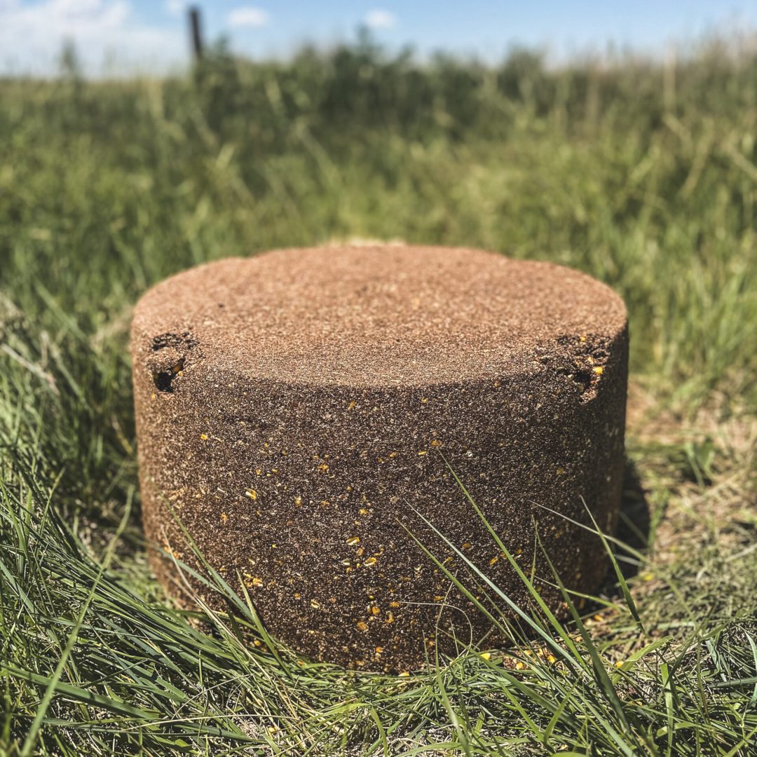 BB-Wildlife-Keg-In-Field-15