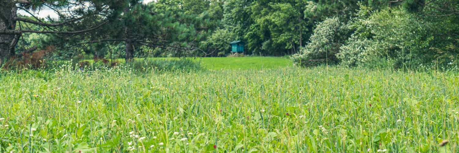 Top Shelf Clover Mix